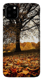 Load image into Gallery viewer, Autumnal Park - Phone Case
