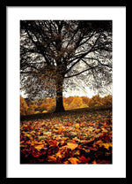 Load image into Gallery viewer, Autumnal Park - Framed Print
