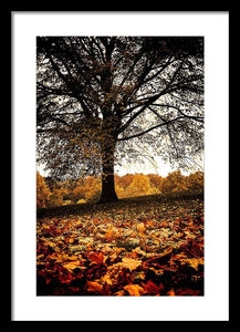 Autumnal Park - Framed Print