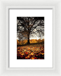 Autumnal Park - Framed Print