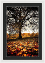 Load image into Gallery viewer, Autumnal Park - Framed Print
