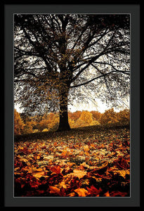 Autumnal Park - Framed Print