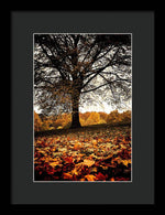 Load image into Gallery viewer, Autumnal Park - Framed Print
