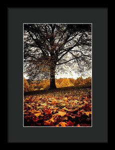 Autumnal Park - Framed Print