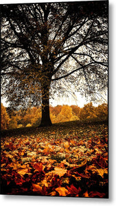 Autumnal Park - Metal Print