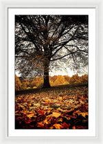 Load image into Gallery viewer, Autumnal Park - Framed Print
