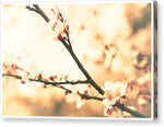 Load image into Gallery viewer, Blossoming Buds - Canvas Print
