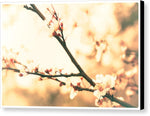 Load image into Gallery viewer, Blossoming Buds - Canvas Print
