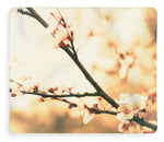 Load image into Gallery viewer, Blossoming Buds - Blanket
