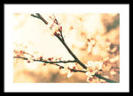 Load image into Gallery viewer, Blossoming Buds - Framed Print
