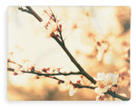 Load image into Gallery viewer, Blossoming Buds - Blanket
