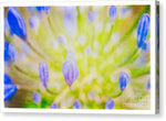 Load image into Gallery viewer, Blue Botanicals - Canvas Print
