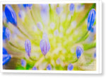Load image into Gallery viewer, Blue Botanicals - Canvas Print
