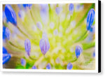 Load image into Gallery viewer, Blue Botanicals - Canvas Print
