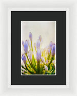 Load image into Gallery viewer, Blue Buds Botanicals - Framed Print
