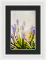 Load image into Gallery viewer, Blue Buds Botanicals - Framed Print
