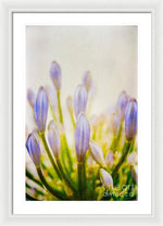 Load image into Gallery viewer, Blue Buds Botanicals - Framed Print
