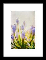 Load image into Gallery viewer, Blue Buds Botanicals - Framed Print
