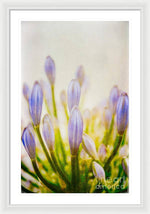 Load image into Gallery viewer, Blue Buds Botanicals - Framed Print
