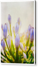 Load image into Gallery viewer, Blue Buds Botanicals - Acrylic Print
