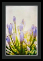 Load image into Gallery viewer, Blue Buds Botanicals - Framed Print
