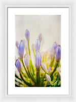 Load image into Gallery viewer, Blue Buds Botanicals - Framed Print
