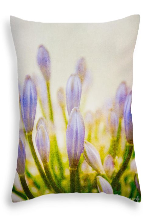 Blue Buds Botanicals - Throw Pillow