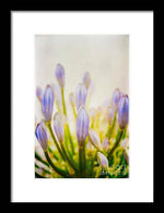 Load image into Gallery viewer, Blue Buds Botanicals - Framed Print
