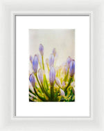 Load image into Gallery viewer, Blue Buds Botanicals - Framed Print
