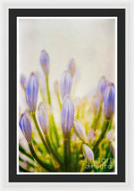 Load image into Gallery viewer, Blue Buds Botanicals - Framed Print
