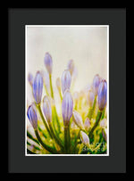 Load image into Gallery viewer, Blue Buds Botanicals - Framed Print
