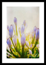 Load image into Gallery viewer, Blue Buds Botanicals - Framed Print
