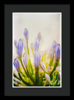 Load image into Gallery viewer, Blue Buds Botanicals - Framed Print
