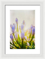 Load image into Gallery viewer, Blue Buds Botanicals - Framed Print
