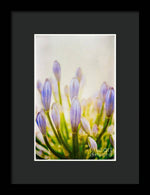 Load image into Gallery viewer, Blue Buds Botanicals - Framed Print
