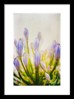 Load image into Gallery viewer, Blue Buds Botanicals - Framed Print
