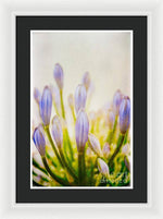 Load image into Gallery viewer, Blue Buds Botanicals - Framed Print
