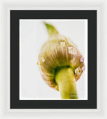 Load image into Gallery viewer, Botanicals Buds - Framed Print
