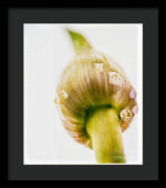 Load image into Gallery viewer, Botanicals Buds - Framed Print
