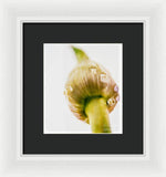 Load image into Gallery viewer, Botanicals Buds - Framed Print
