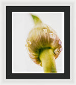 Load image into Gallery viewer, Botanicals Buds - Framed Print
