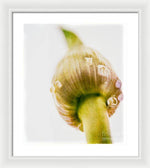 Load image into Gallery viewer, Botanicals Buds - Framed Print
