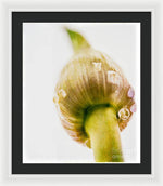 Load image into Gallery viewer, Botanicals Buds - Framed Print
