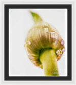 Load image into Gallery viewer, Botanicals Buds - Framed Print
