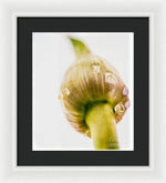 Load image into Gallery viewer, Botanicals Buds - Framed Print
