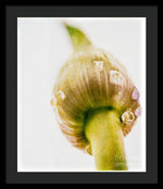 Load image into Gallery viewer, Botanicals Buds - Framed Print
