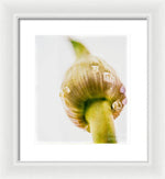 Load image into Gallery viewer, Botanicals Buds - Framed Print

