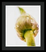 Load image into Gallery viewer, Botanicals Buds - Framed Print
