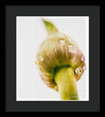 Load image into Gallery viewer, Botanicals Buds - Framed Print
