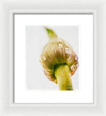 Load image into Gallery viewer, Botanicals Buds - Framed Print
